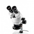 لوپ یاکسون Yaxun YX AK10 Binocular Stereo Microscope