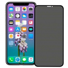 محافظ صفحه نمایش Apple iPhone XS Max Full Privacy Glass