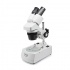 لوپ یاکسون Yaxun YX AK02 Binocular Stereo Microscope