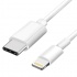 کابل تایپ سی به لایتنینگ Apple iPhone Type C To Lightning Cable
